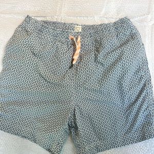 J Crew Crew Cuts Boys Swim Trunks Size 16